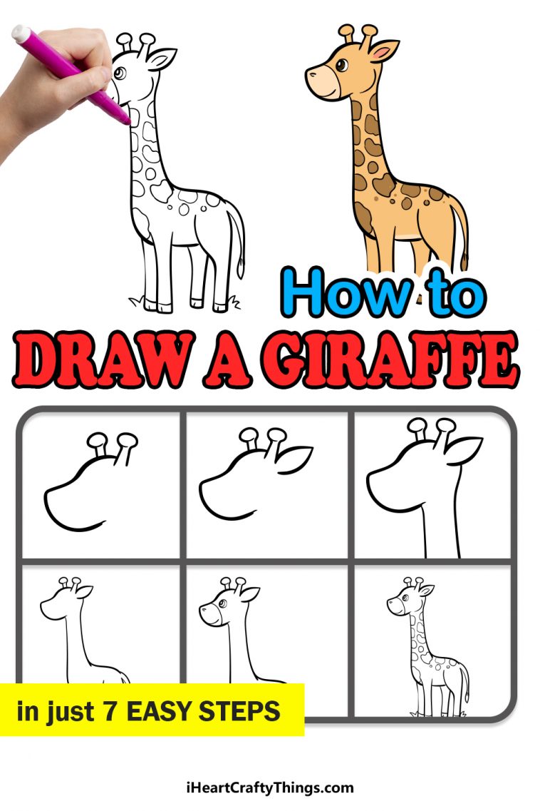 Giraffe Drawing How To Draw A Giraffe Step By Step