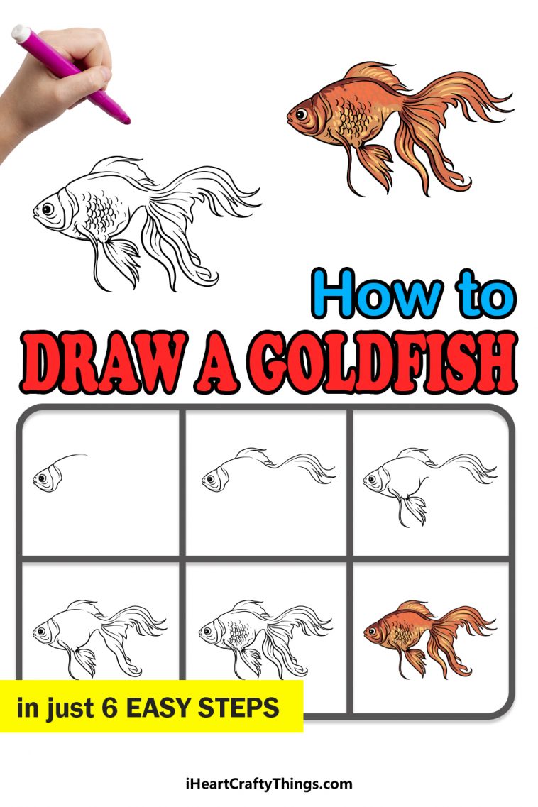 Goldfish Drawing How To Draw A Goldfish Step By Step