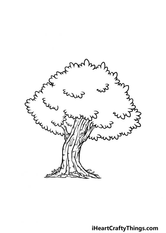 Oak Tree Drawing How To Draw An Oak Tree Step By Step