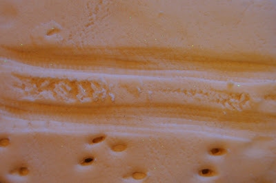 DSC 0418