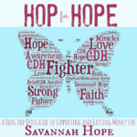 HOP for HOPE.png e1402936355624