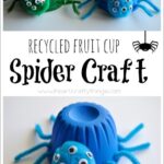 FruitCupSpiderCraft