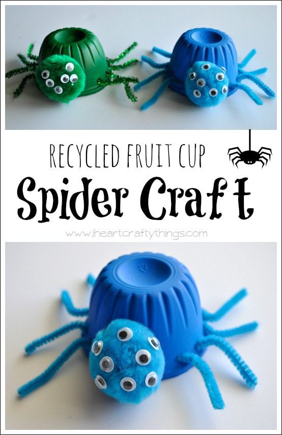 FruitCupSpiderCraft
