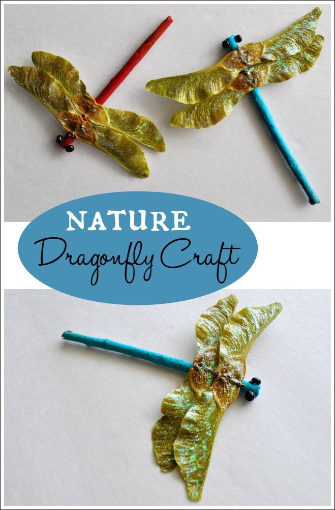 NatureDragonflyCraftPin