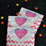 LoveYoutoPiecesValentineTreatBags