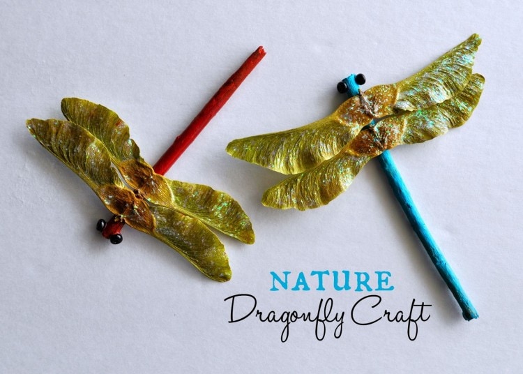 DragonflyCraft