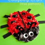 Ladybug Kids Craft Pin
