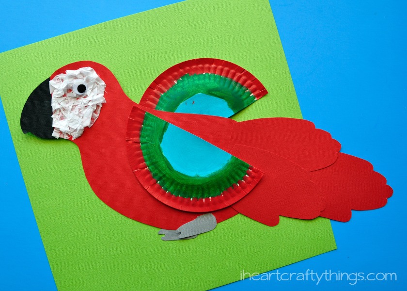 Macaw Kids Craft