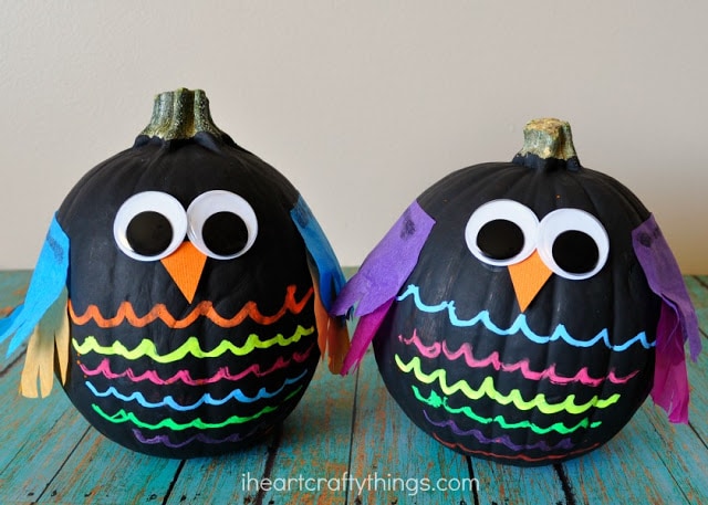 no carve owl pumpkins 3