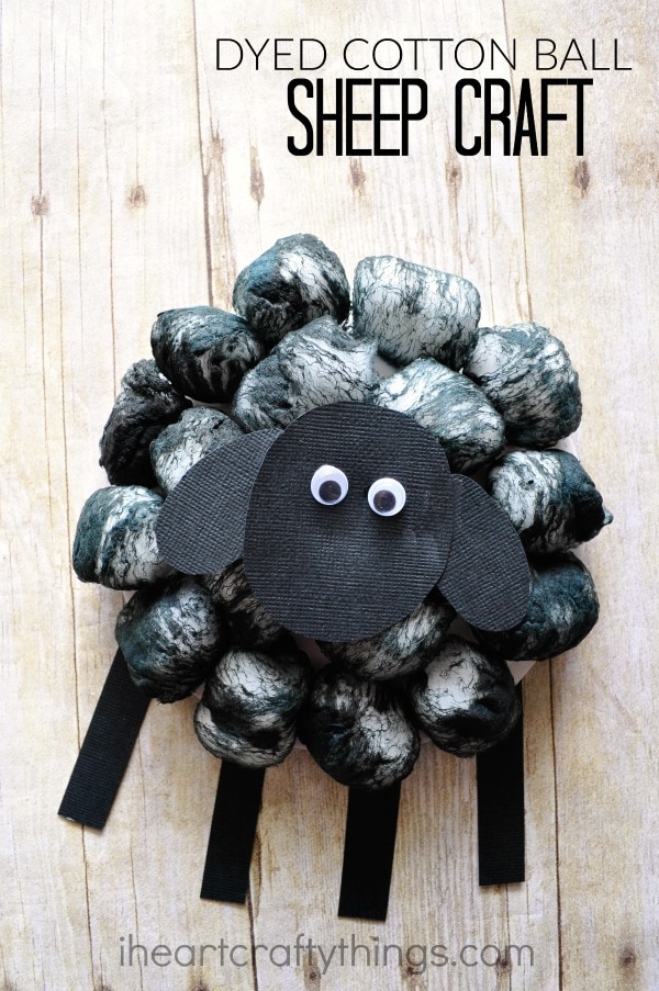 Vertical image of black sheep craft with the words "Dyed Cotton Ball Sheep Craft" in top right corner.