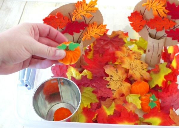 fall sensory bin 11