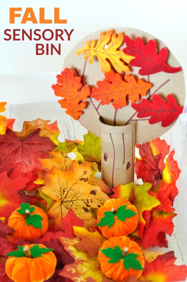 fall sensory bin 4