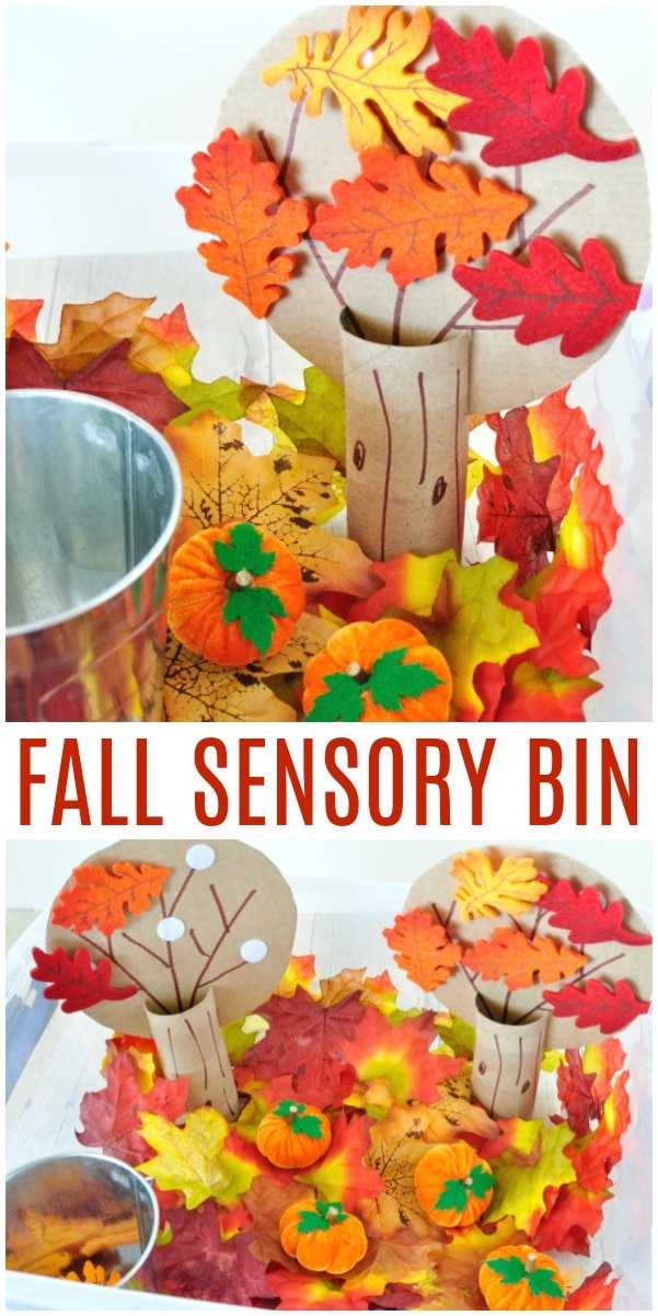 Explore and learn about the fall season with this beautiful fall sensory bin. Fun toddler learning activities, counting, colors and fine motor skills.