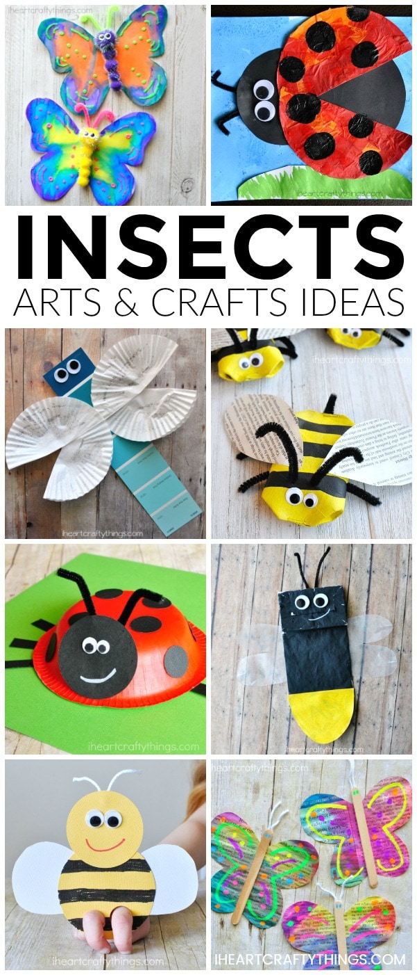 insects arts crafts ideas 7