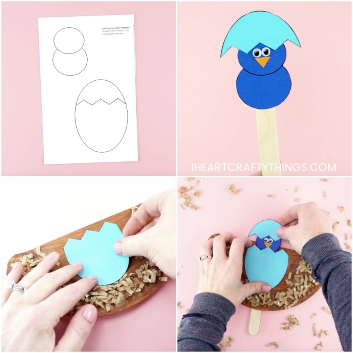 pop up bird craft 9