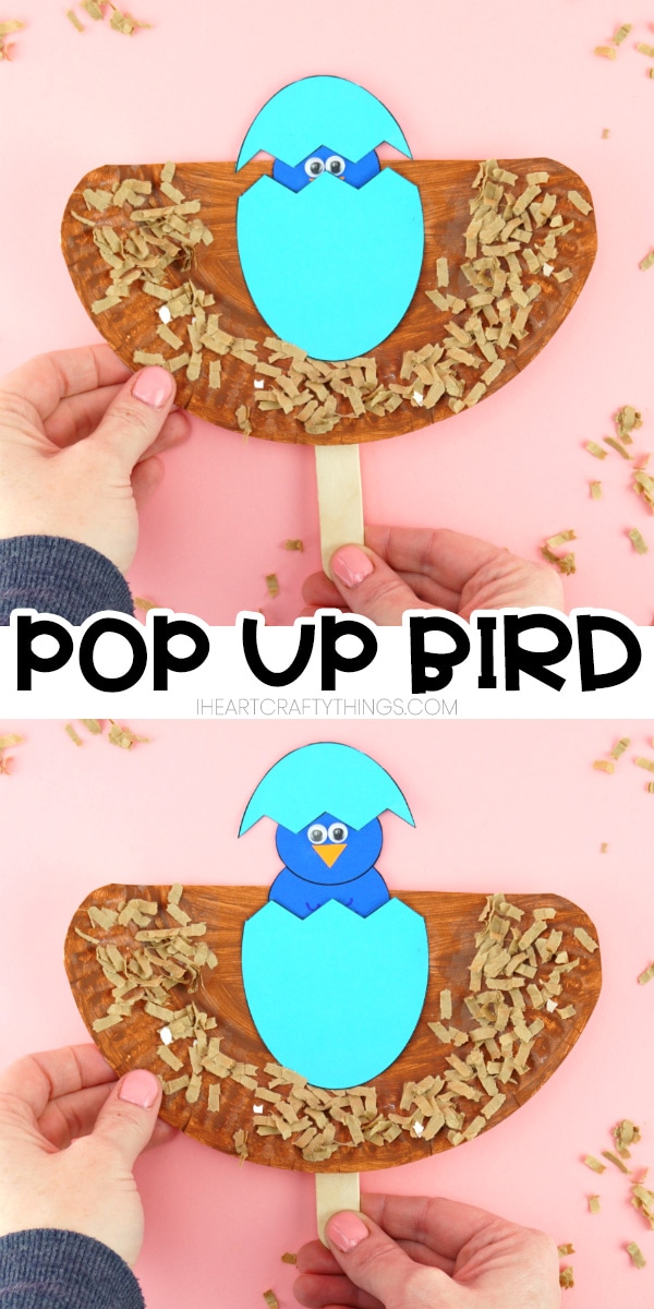 pop up bird craft PIN
