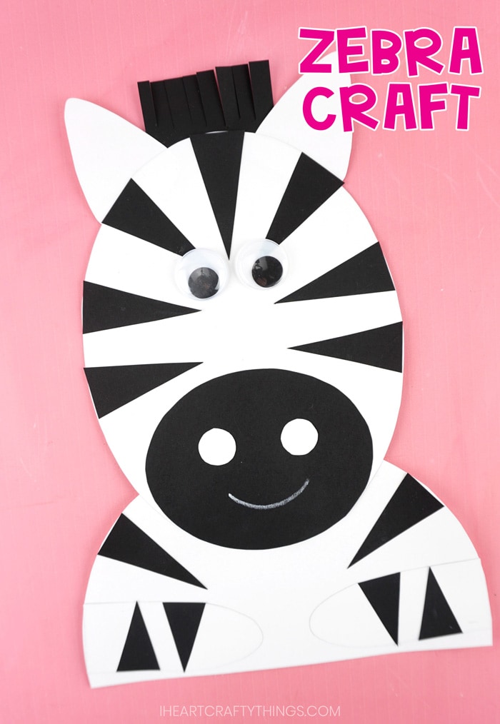 zebra craft PIN