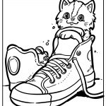 Cat 28
