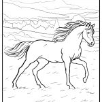 Horse coloring pages