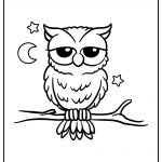 Owls 13