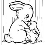 Rabbit 15