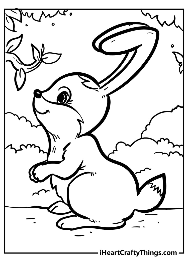 Rabbit 3