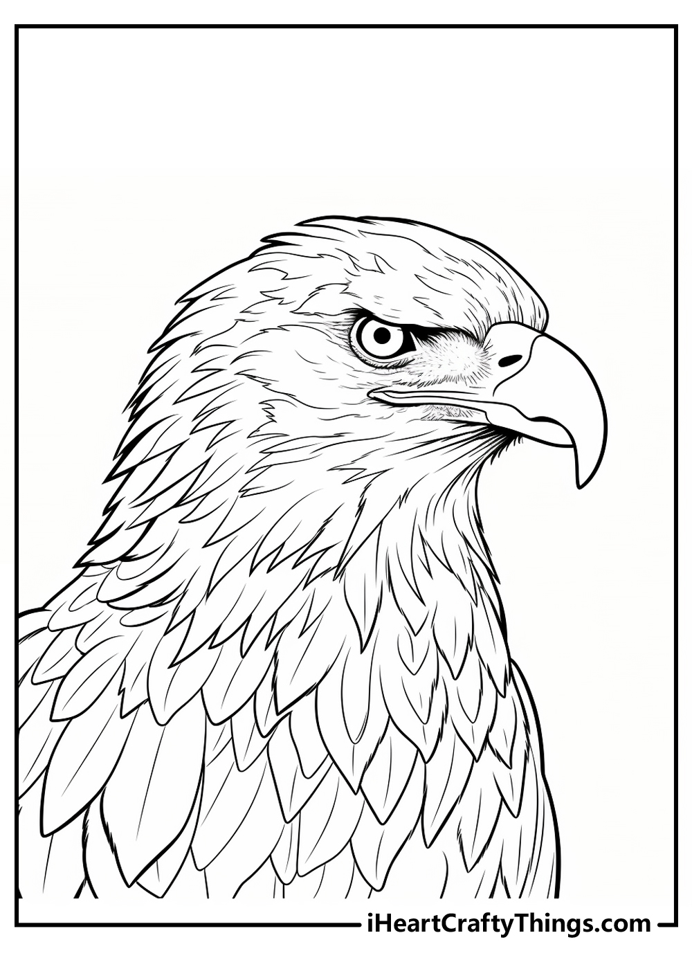 Bald Eagle Coloring Printable for Kids