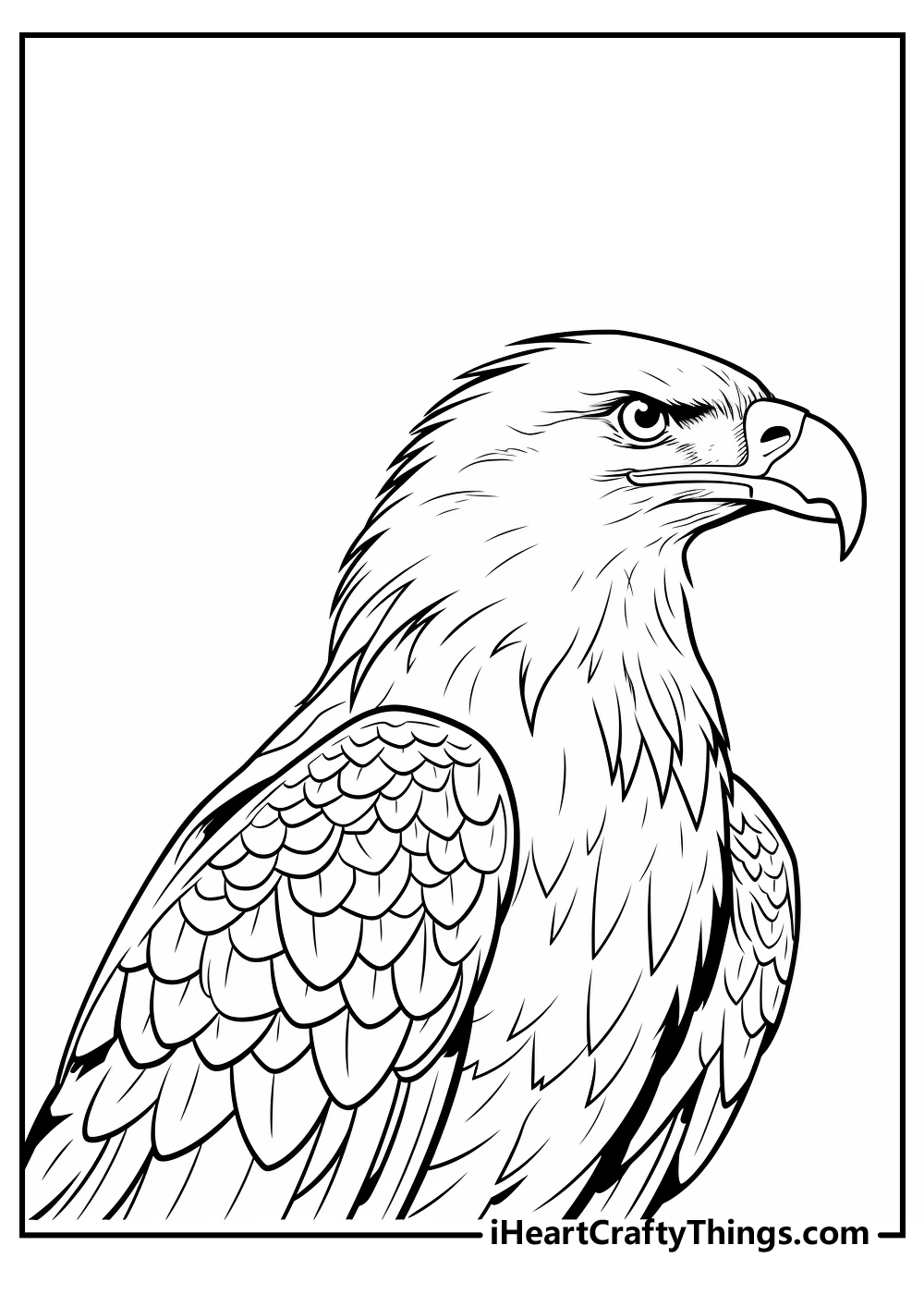 Bald Eagle Coloring Pages