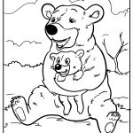 bear coloring images