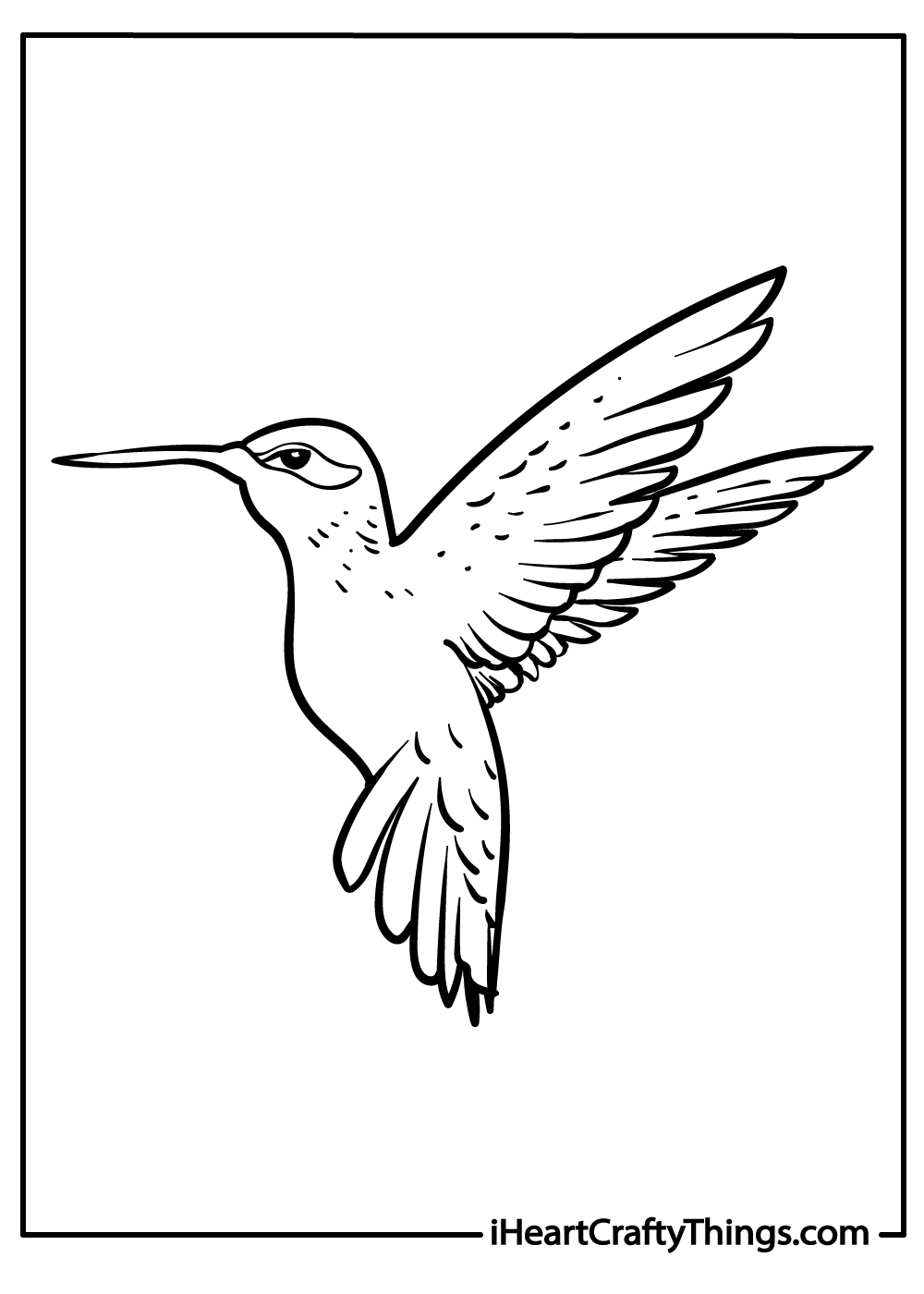 Hummingbird Coloring Pages for Kids