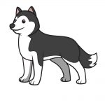 how to draw husky image