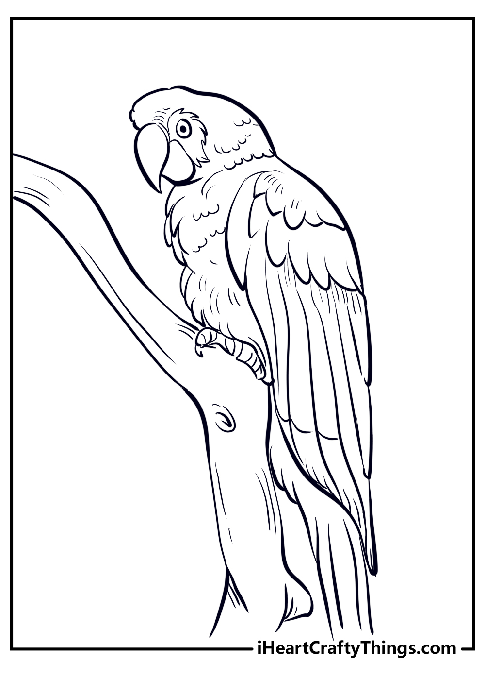 big parrot coloring pages
