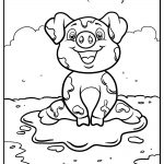 Pig 18