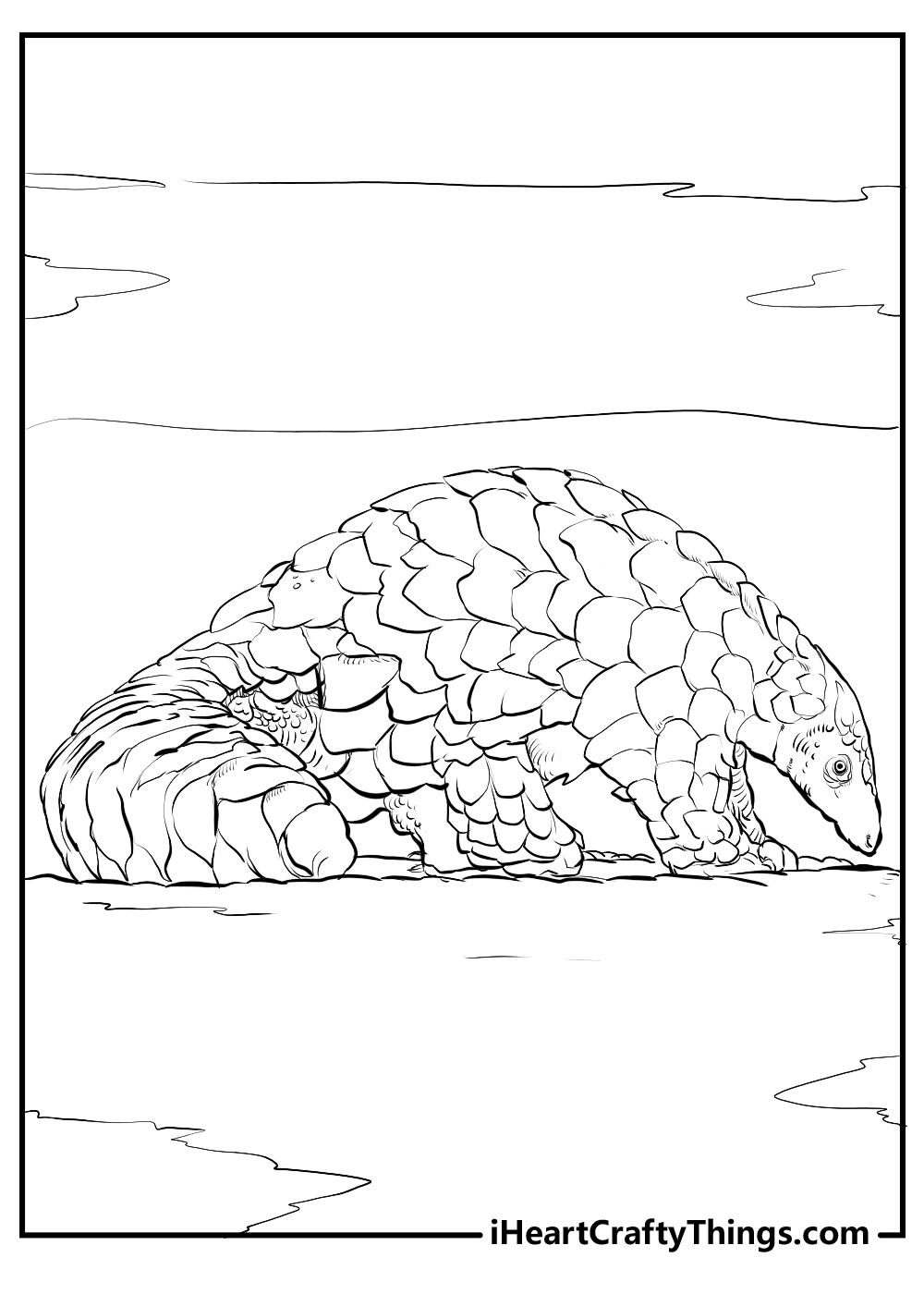 realistic animals coloring sheets for kids