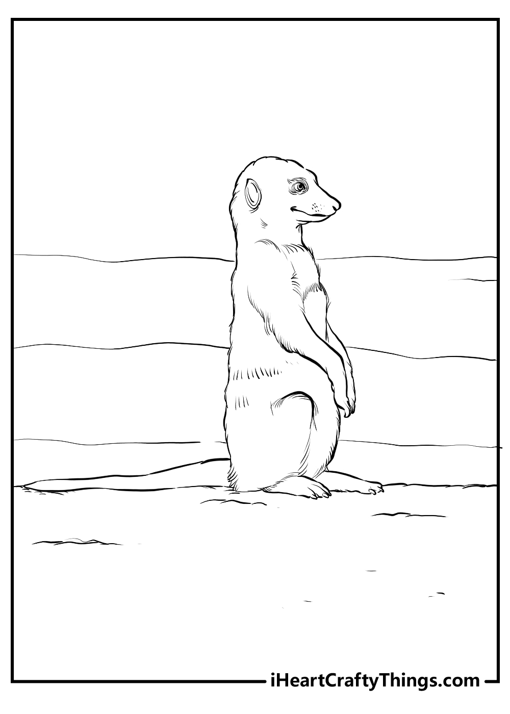 meerkats coloring pages for kids free printable