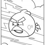 angry birds 02