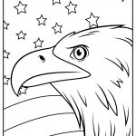bald eagle 07