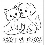 dog and cat 09