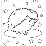 hedgehog 03