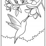 hummingbirds 09