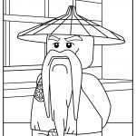 lego ninjago 05