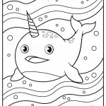 narwhal 08
