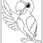 parrots 08