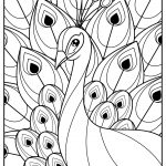 peacocks 02