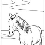 realistic horse 06