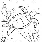sea turtle 01
