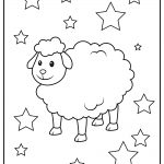 sheep 01