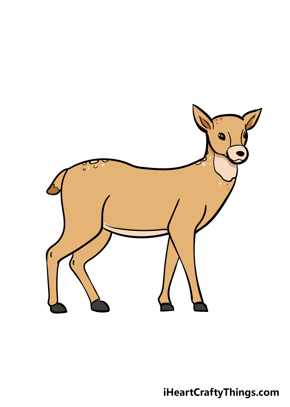 drawing deer step 8