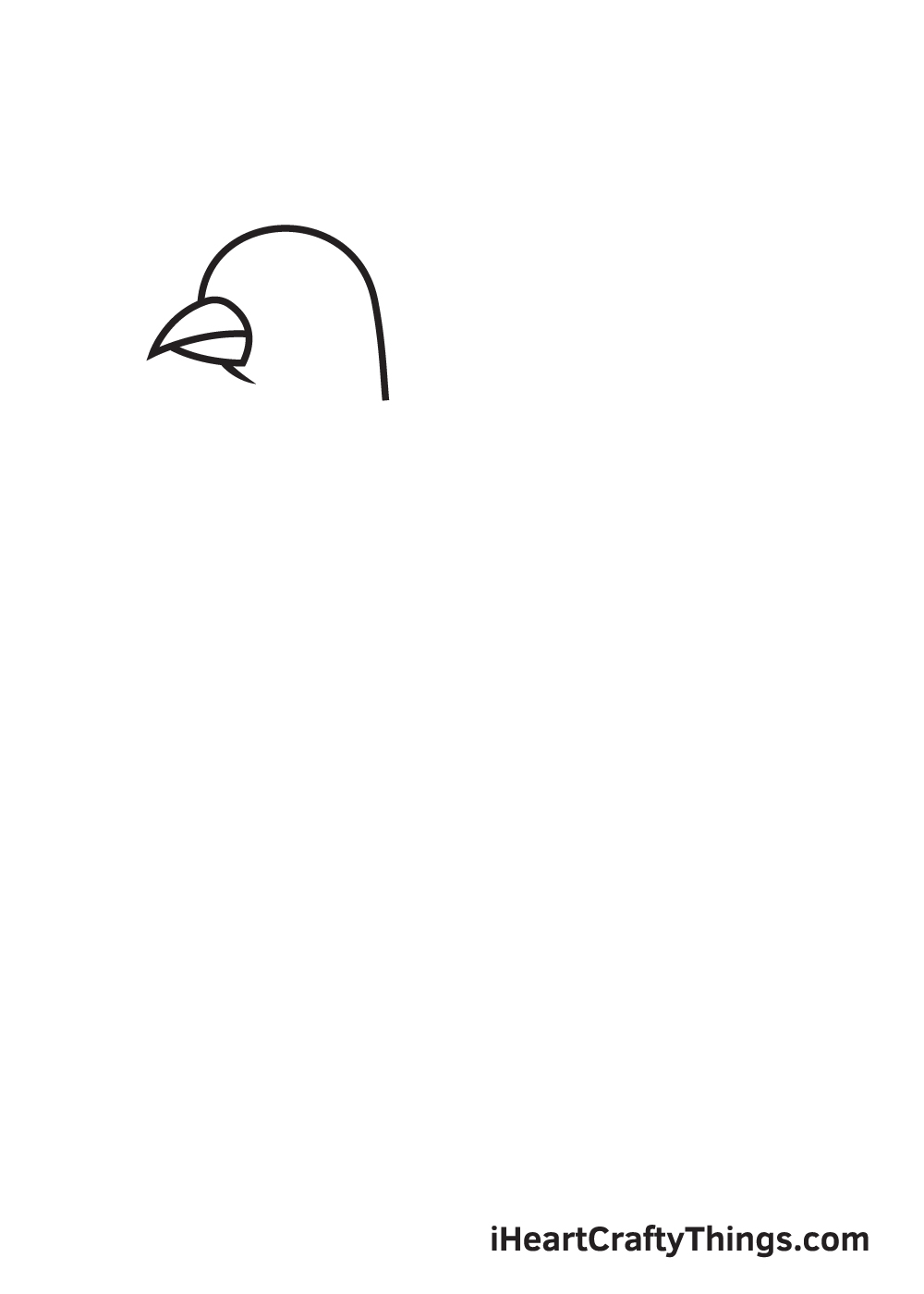 dove drawing step 2