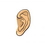 how to draw ear image